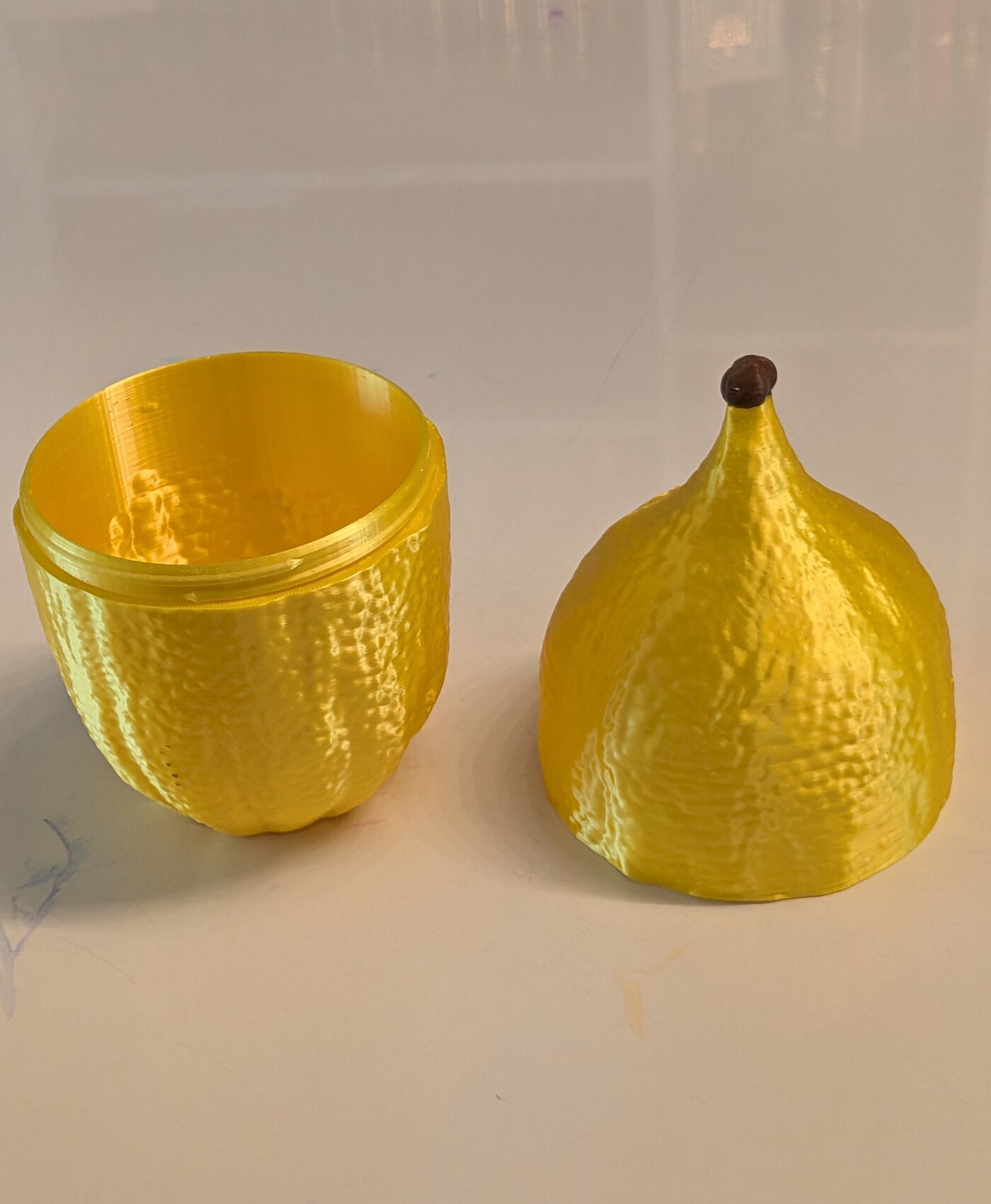 The esrog case twisted open into two halves, showing the hollow interior.